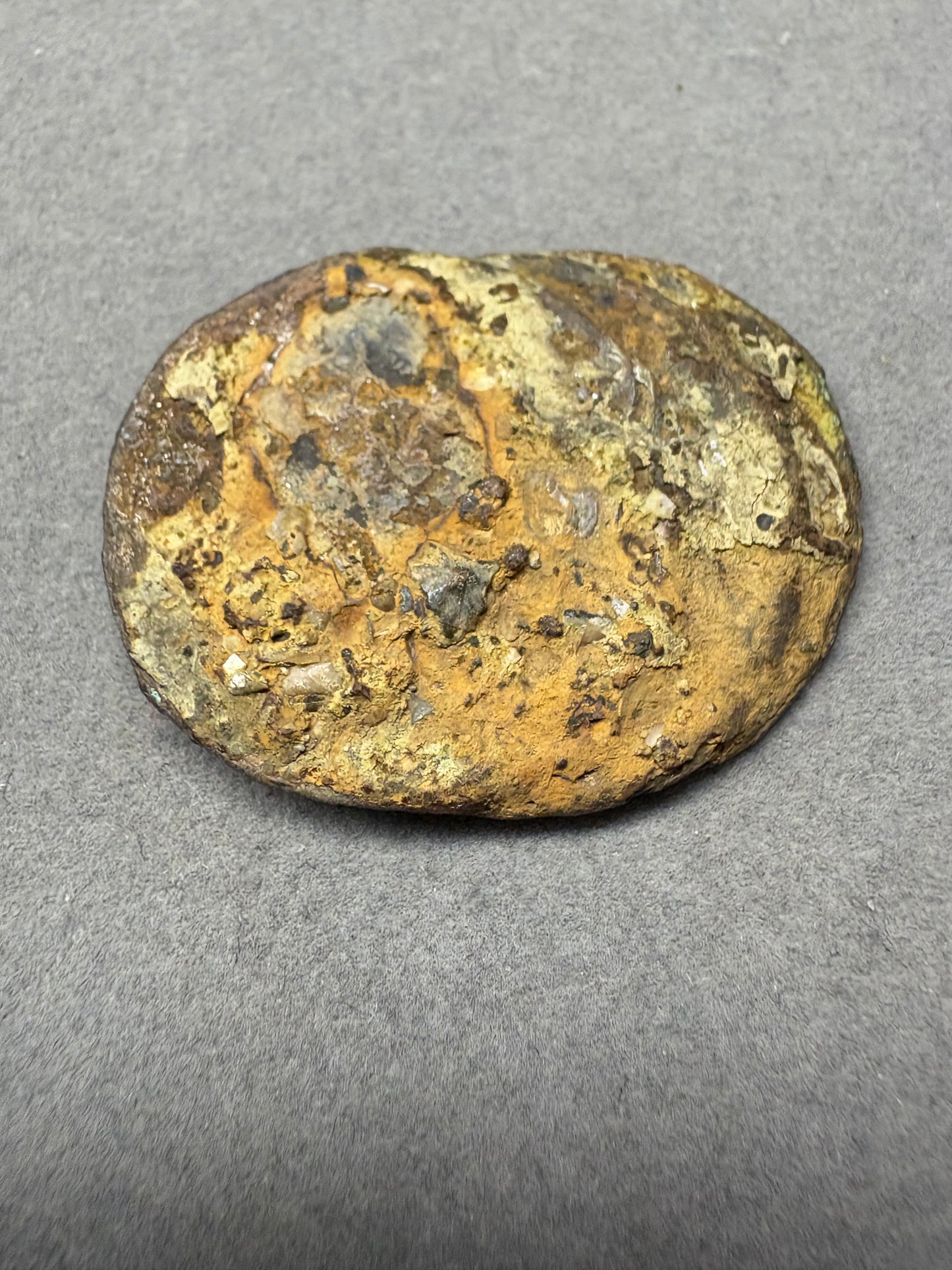 El Cazador Shipwreck Clump of Three 2 Reales, Encrusted in shell and mud, Original Hand Signed COA and Tag.