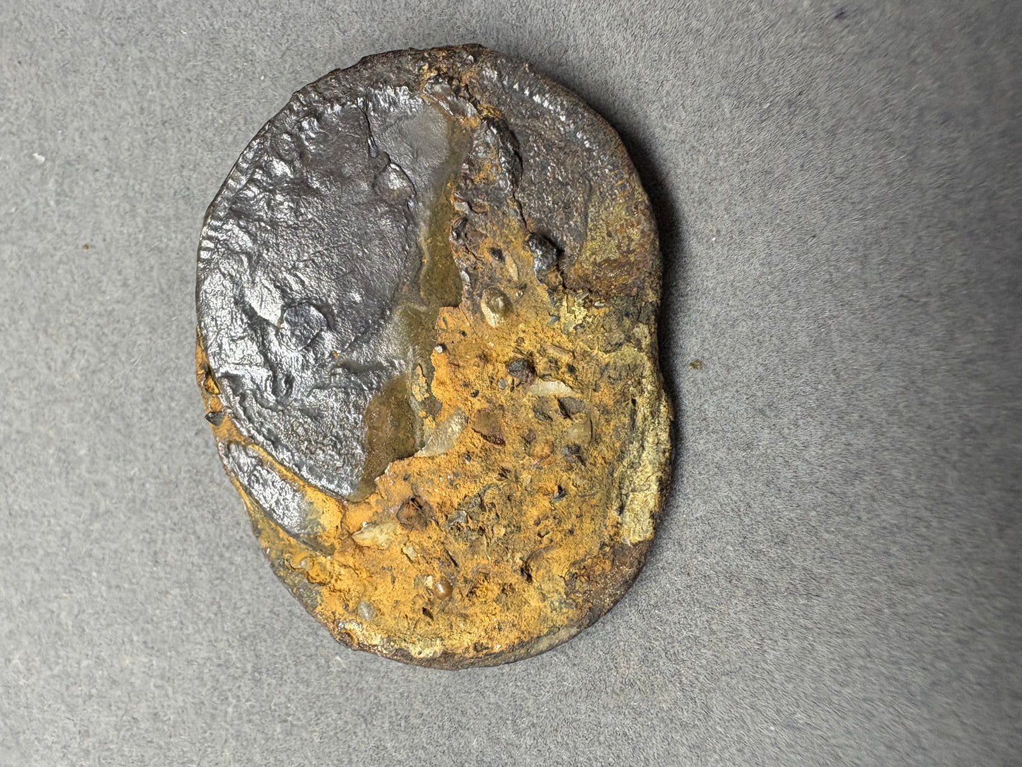 El Cazador Shipwreck Clump of Three 2 Reales, Encrusted in shell and mud, Original Hand Signed COA and Tag.